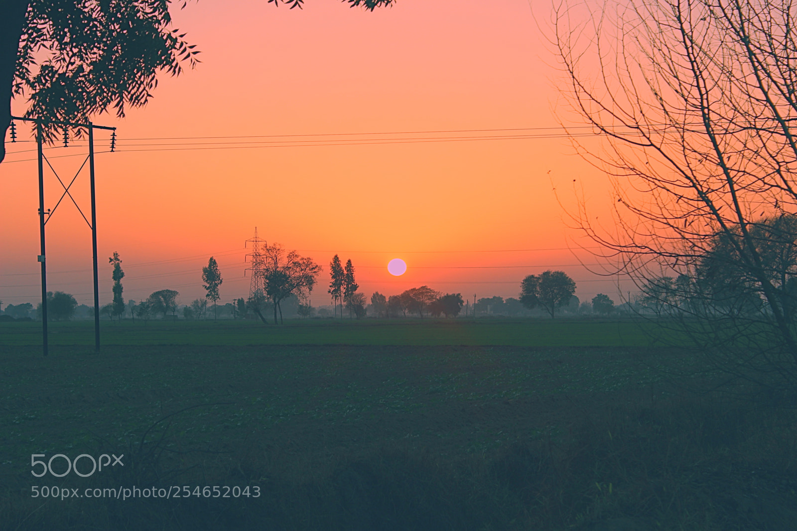 Canon EOS 600D (Rebel EOS T3i / EOS Kiss X5) sample photo. Sunset photography