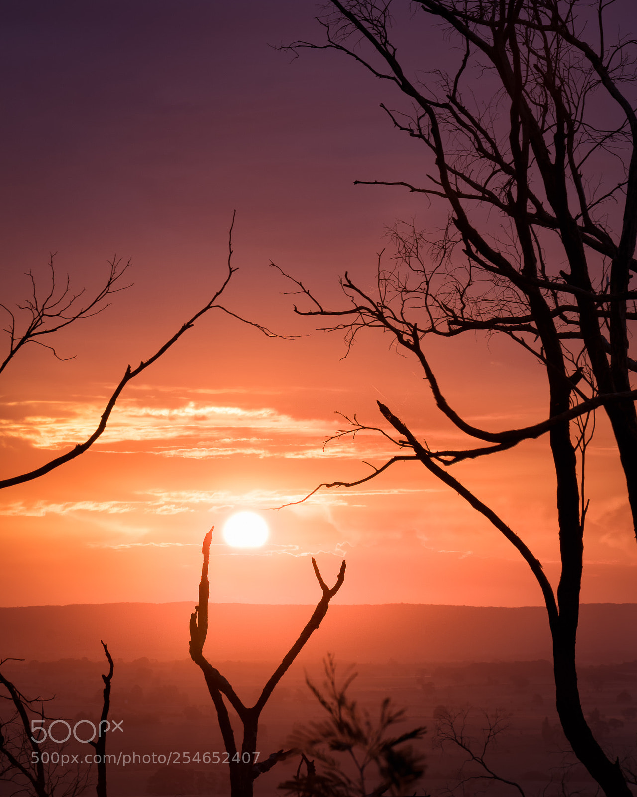 Nikon D5300 sample photo. Catching the sun photography