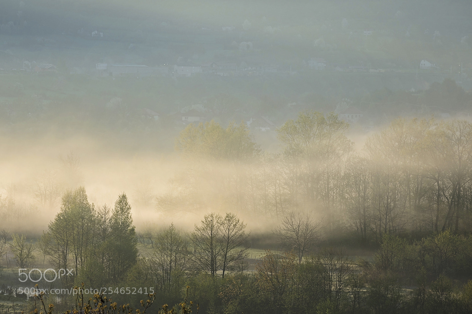 Nikon D7200 sample photo. Misty mornings at the photography