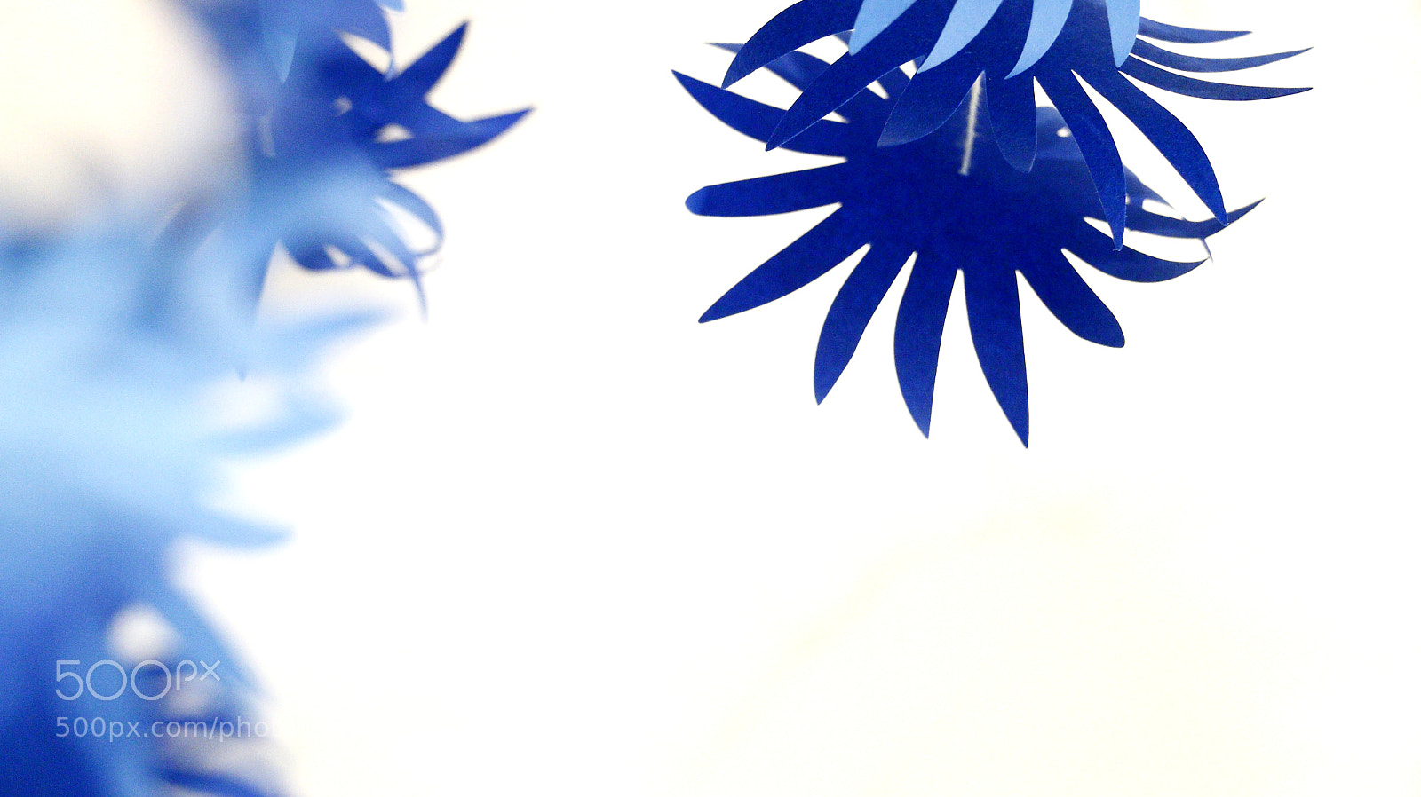 Canon EOS 70D sample photo. Blue photography