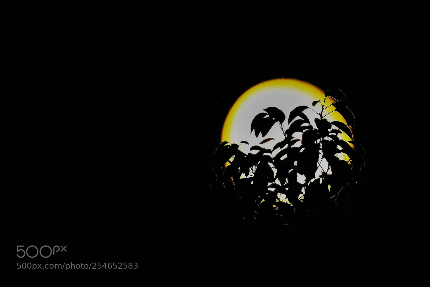 Canon EOS 5D Mark IV sample photo. A full-moon night photography