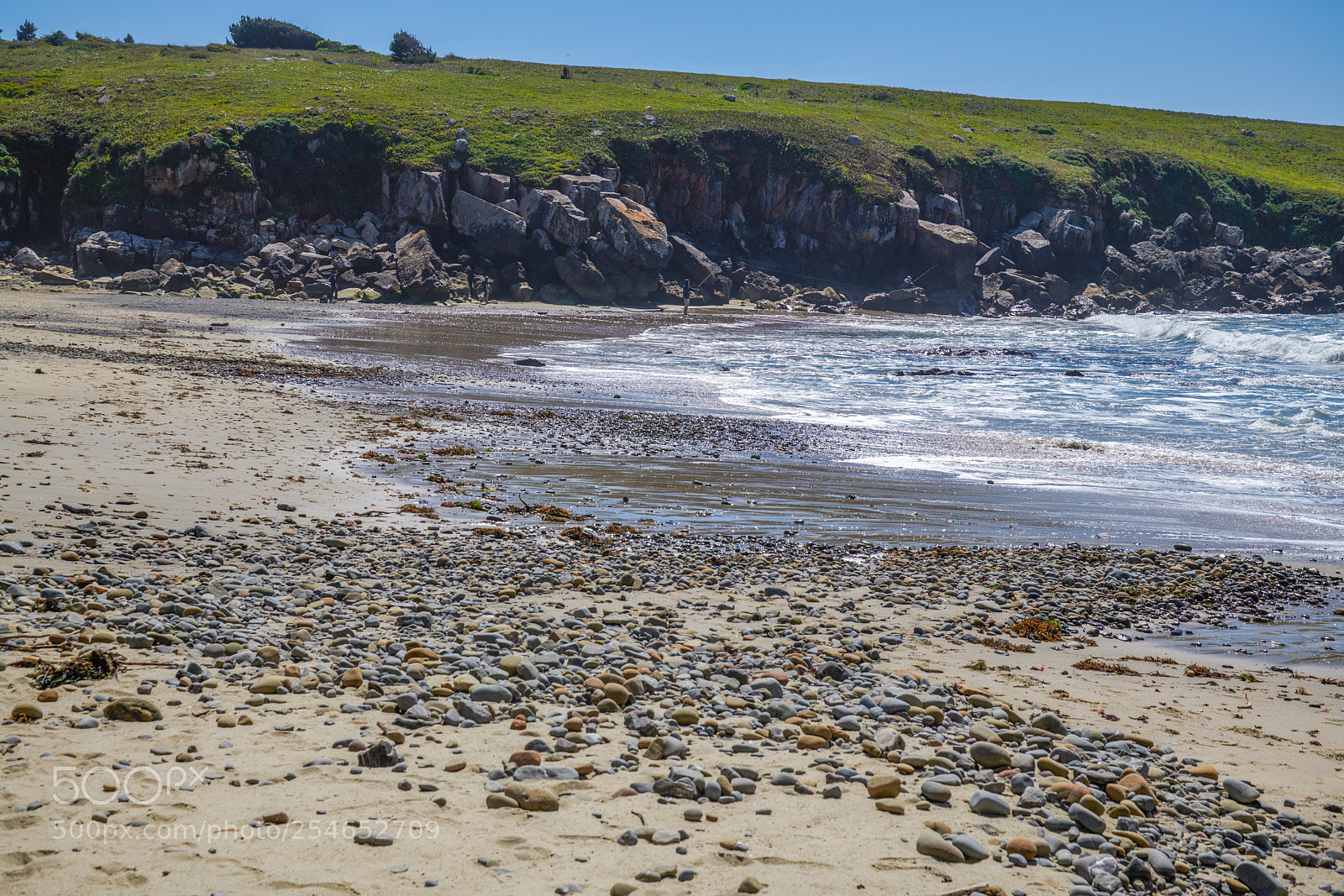 Nikon D850 sample photo. Stump beach cove photography