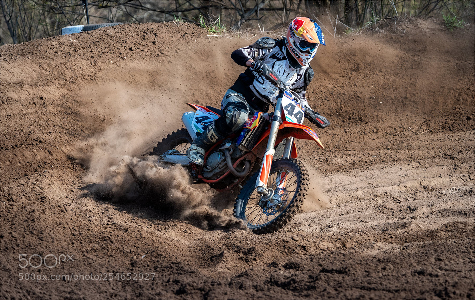 Nikon D810 sample photo. Y photography