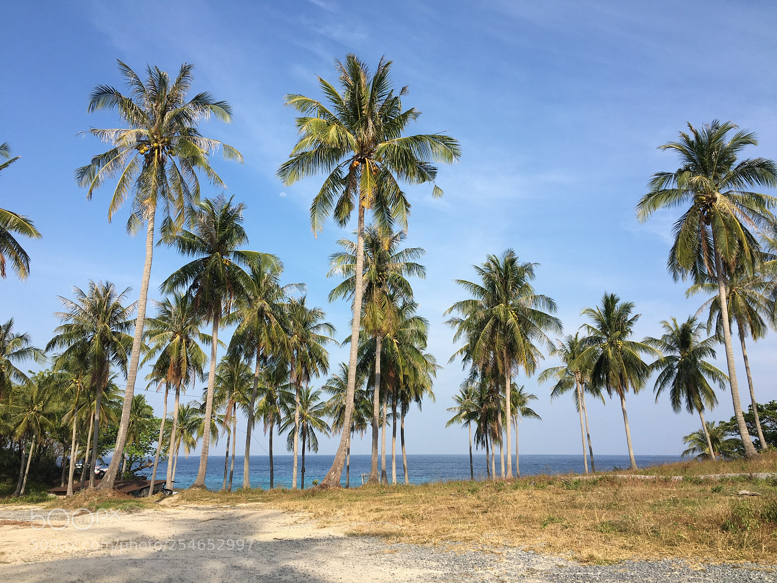 Apple iPhone 6s sample photo. Tropical beach photography