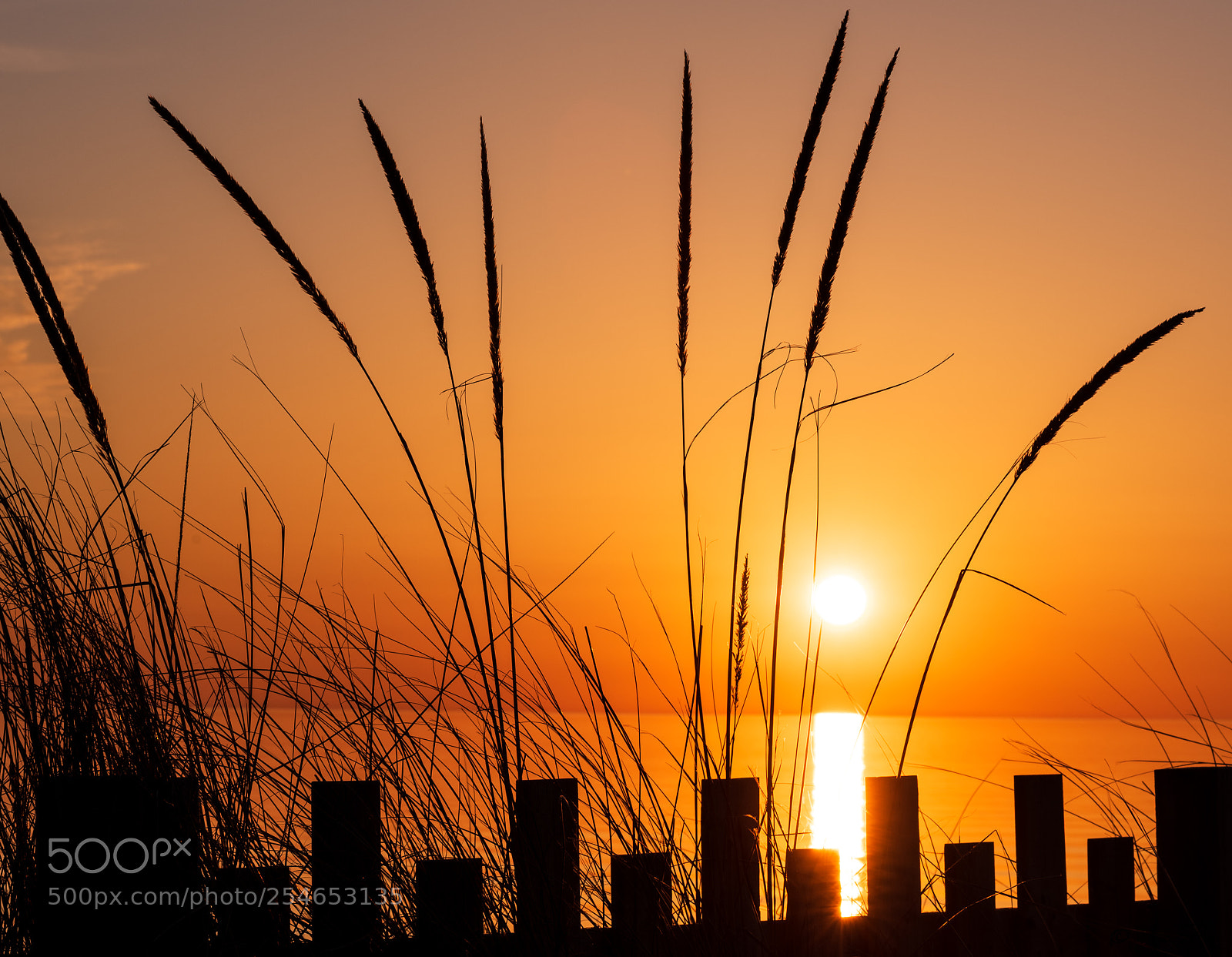 Nikon D810 sample photo. Sunset photography
