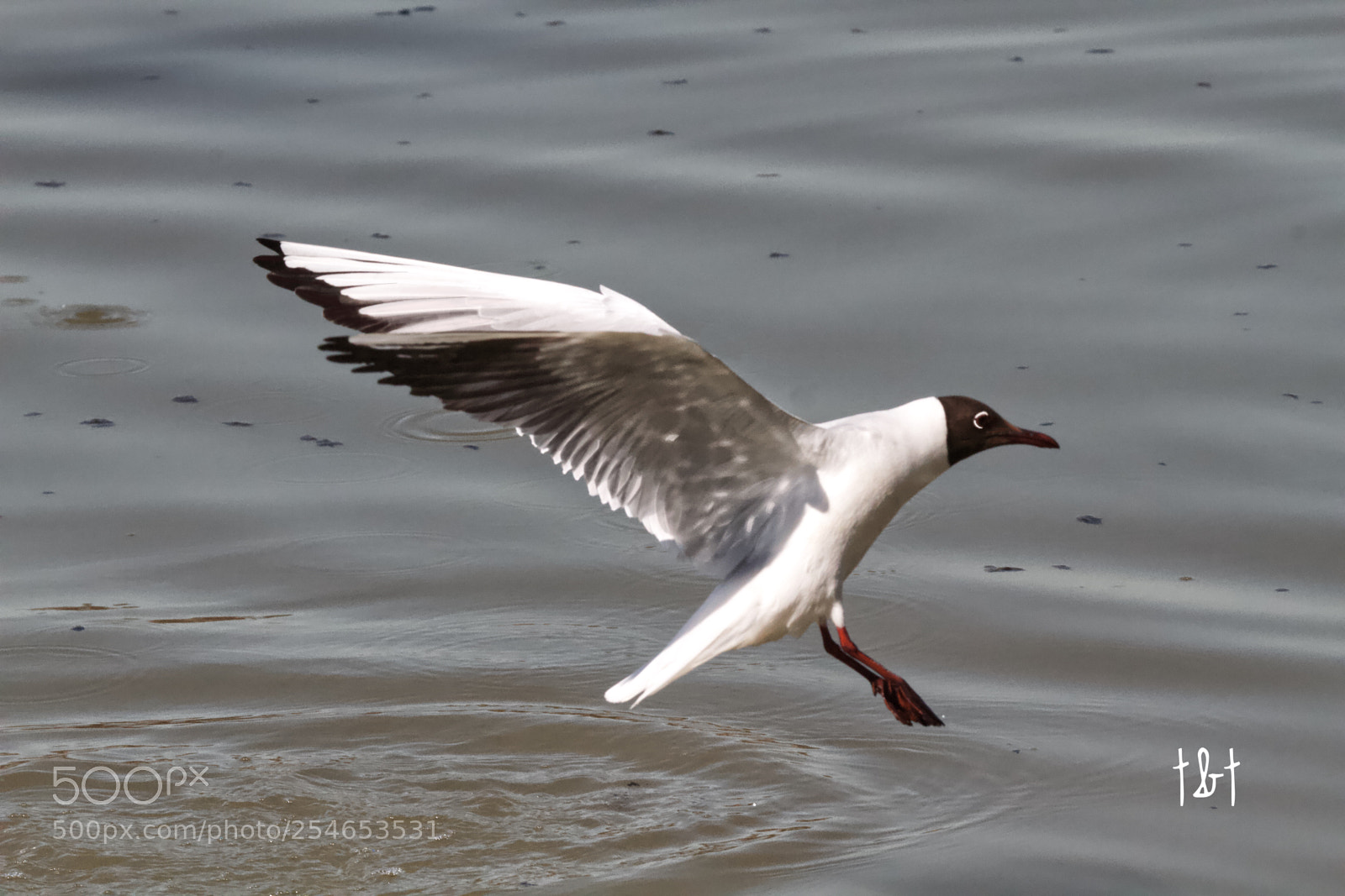 Canon EOS 7D sample photo. Untitled photography