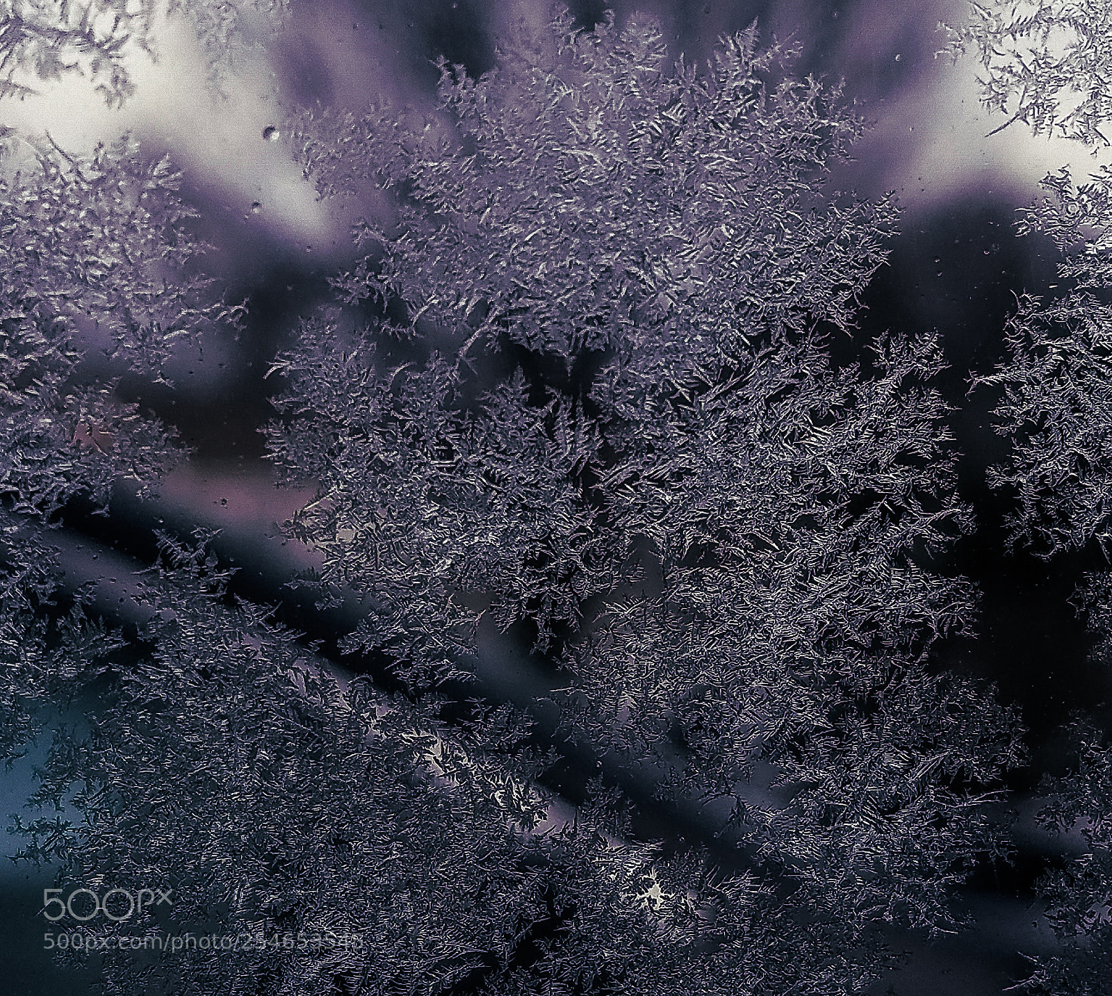 Samsung Galaxy S7 Edge sample photo. Fractal art of nature photography