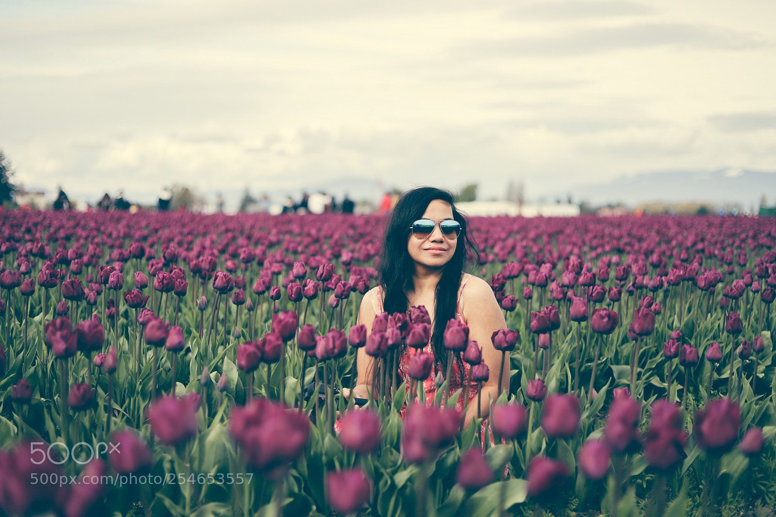 Canon EOS 6D Mark II sample photo. * photography