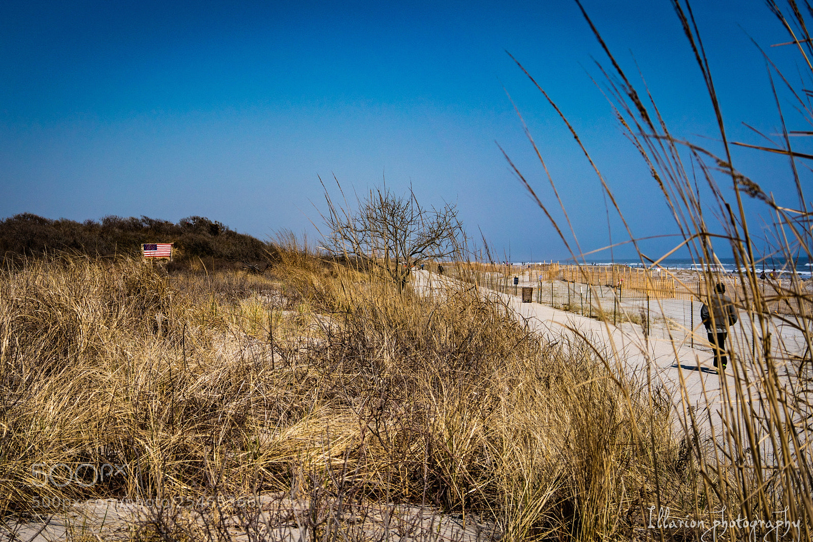 Sony a7R III sample photo. Path to freedom photography