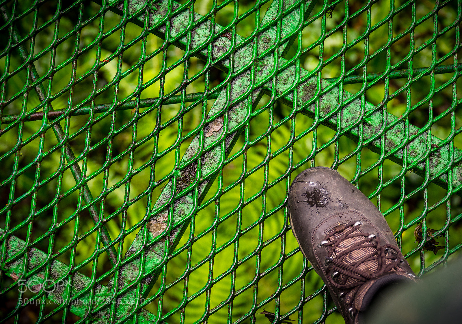 Sony a7R sample photo. A dizzying height photography