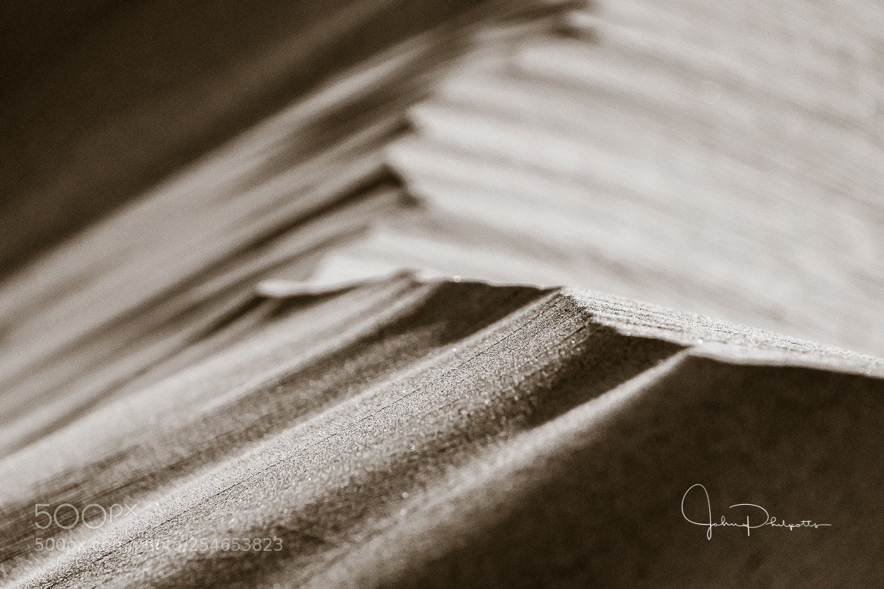 Sony a6000 sample photo. Desert black and white photography