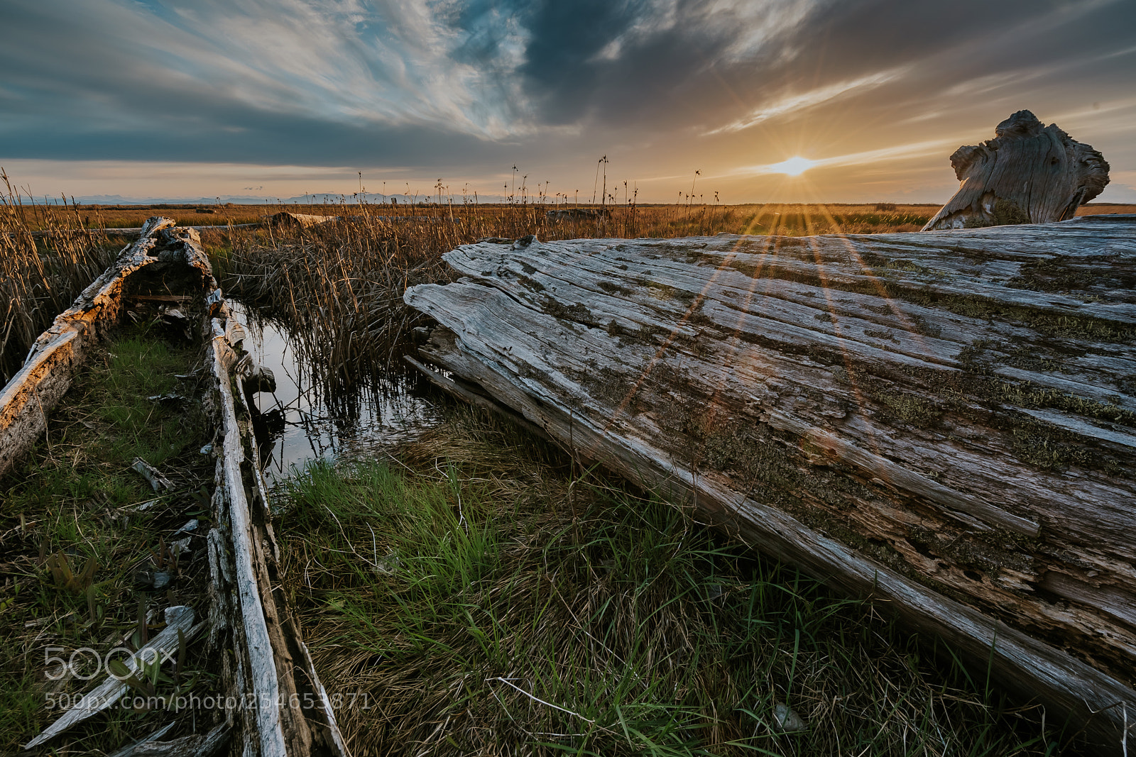 Sony a7 III sample photo. Two logs at sunset photography