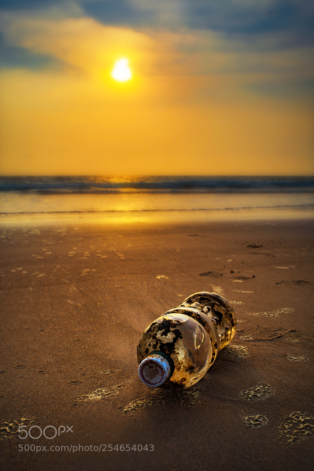Nikon D5200 sample photo. Earth day special ?.... photography