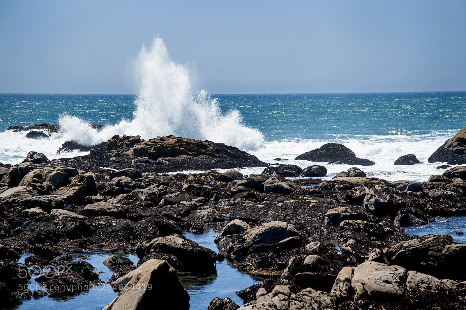 Nikon D850 sample photo. Salt point state park photography