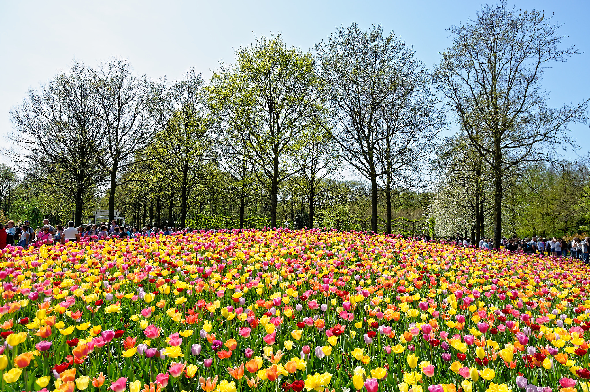 Nikon D700 sample photo