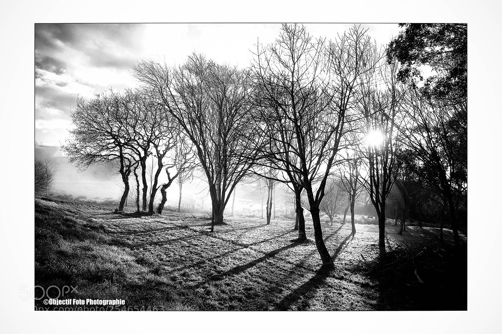 Nikon D300 sample photo. A contre jour photography