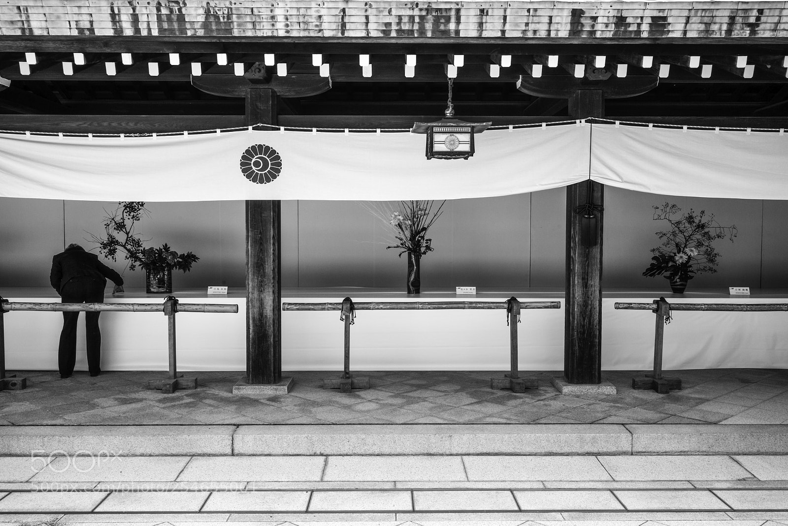 Leica M (Typ 240) sample photo. Meiji floral arrangments photography