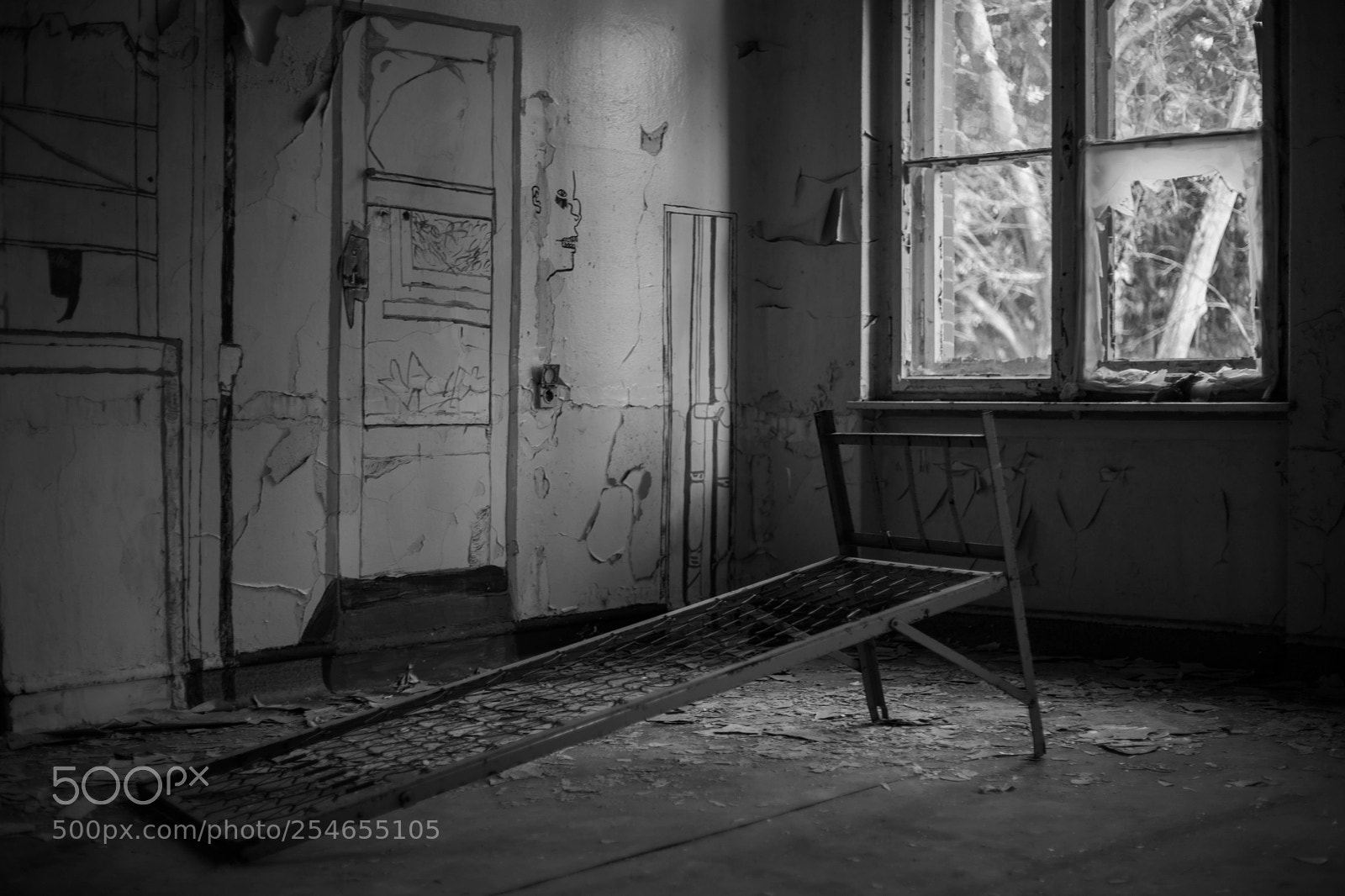 Canon EOS 6D Mark II sample photo. Untitled photography