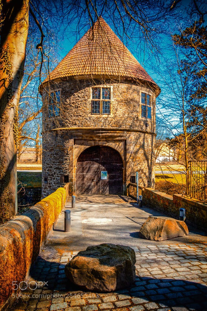 Canon EOS 700D (EOS Rebel T5i / EOS Kiss X7i) sample photo. Das torhaus am rombergpark  photography
