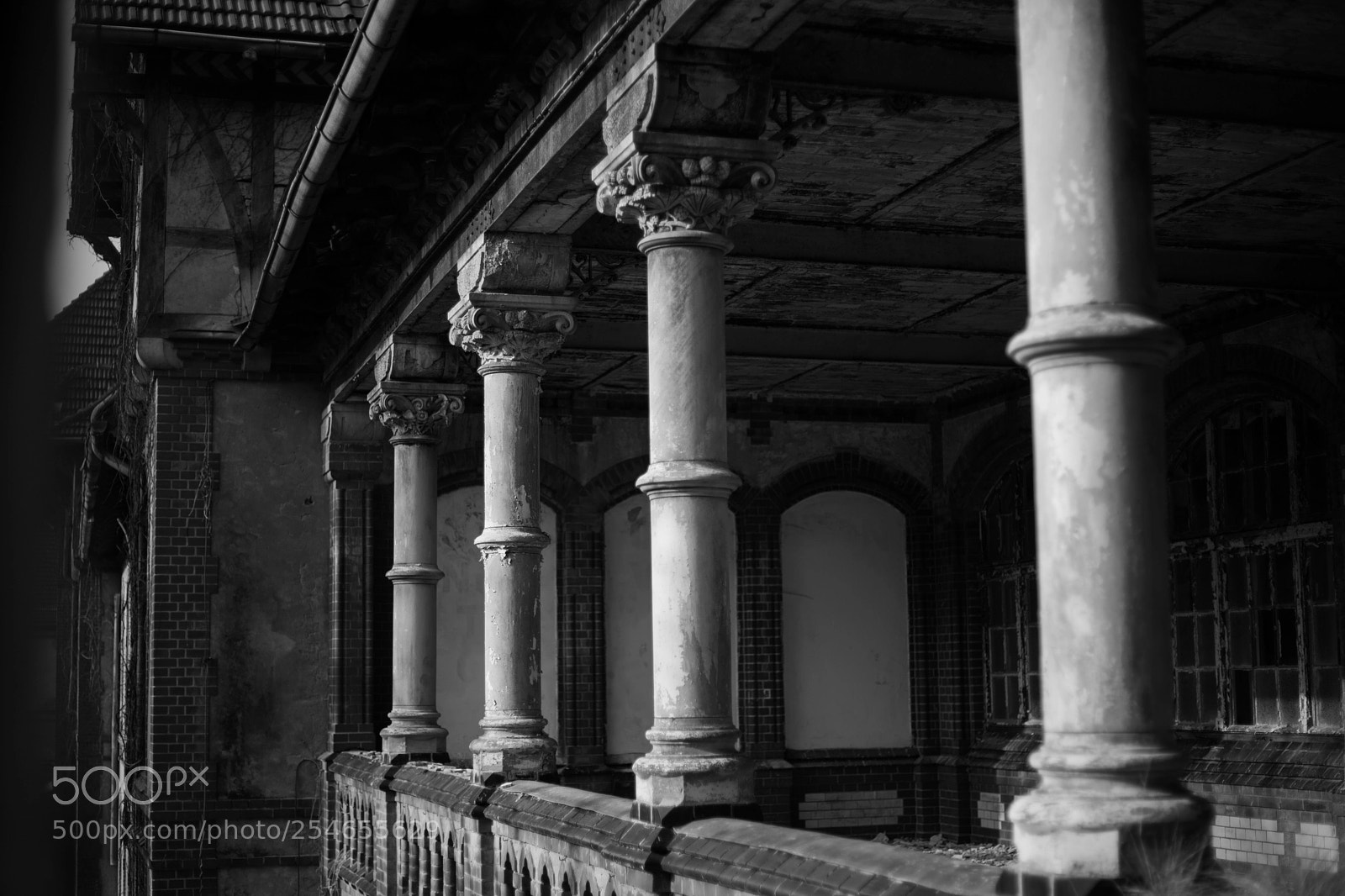 Canon EOS 6D Mark II sample photo. Untitled photography