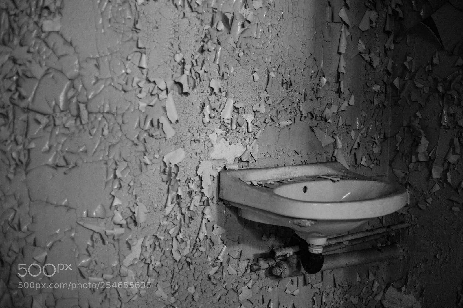Canon EOS 6D Mark II sample photo. Untitled photography