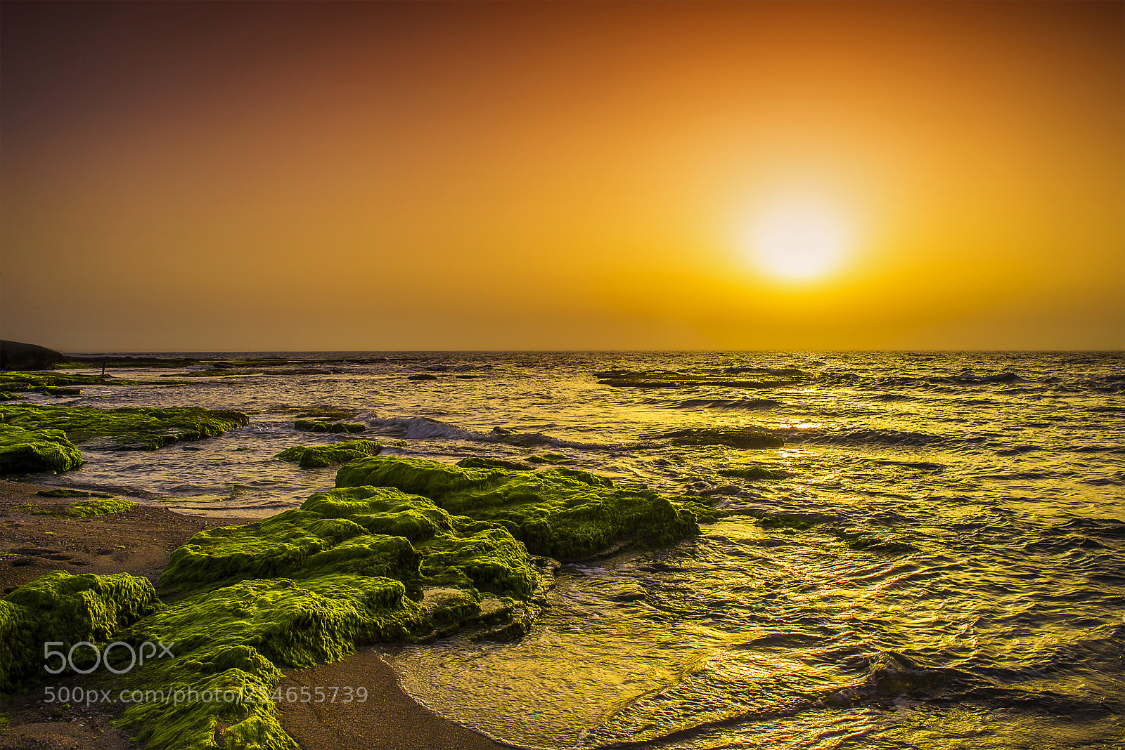 Nikon D600 sample photo. Golden sunset horizon photography