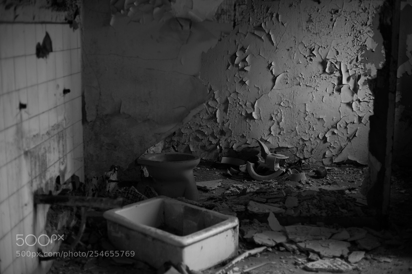 Canon EOS 6D Mark II sample photo. Untitled photography