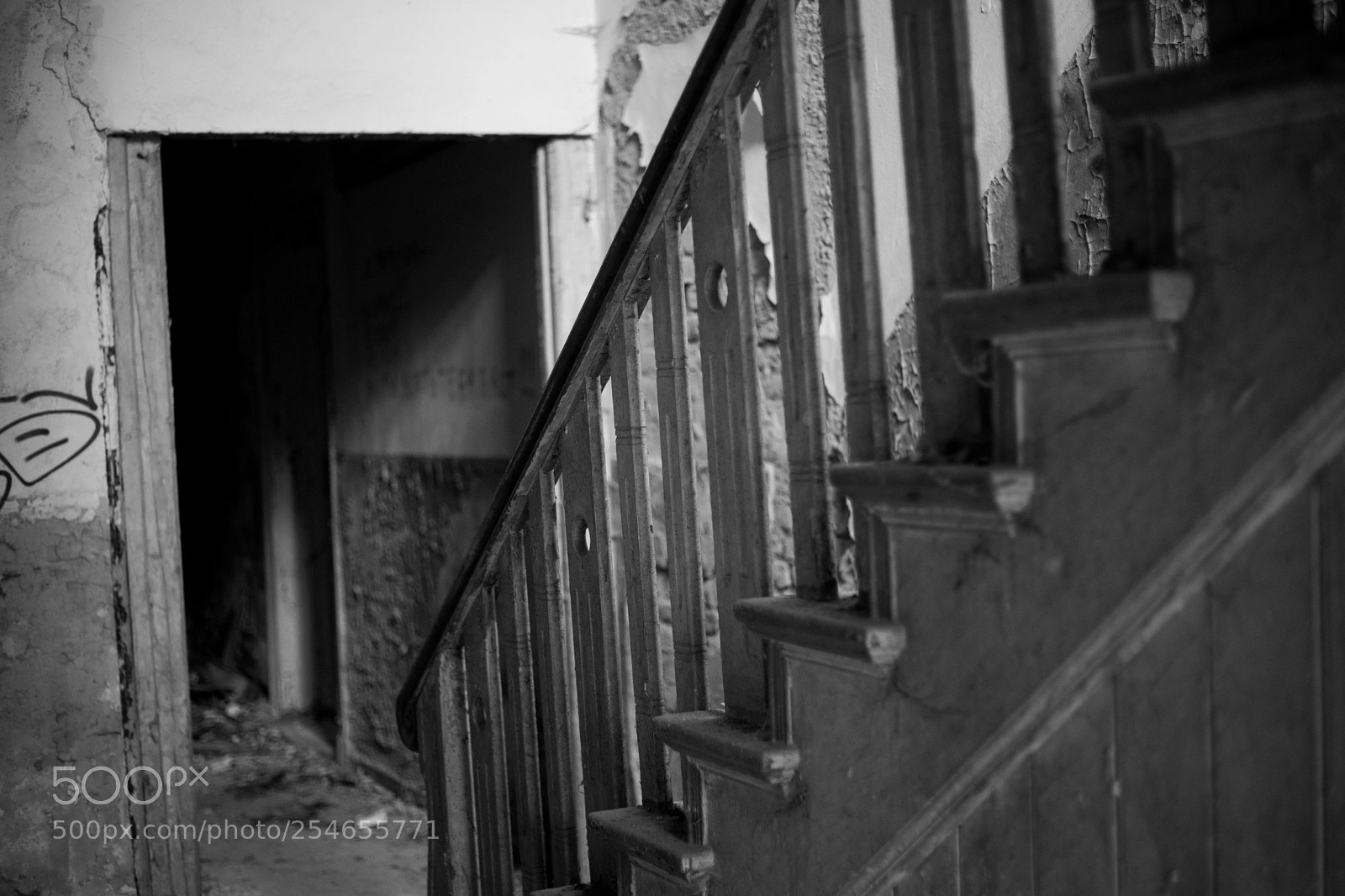 Canon EOS 6D Mark II sample photo. Untitled photography