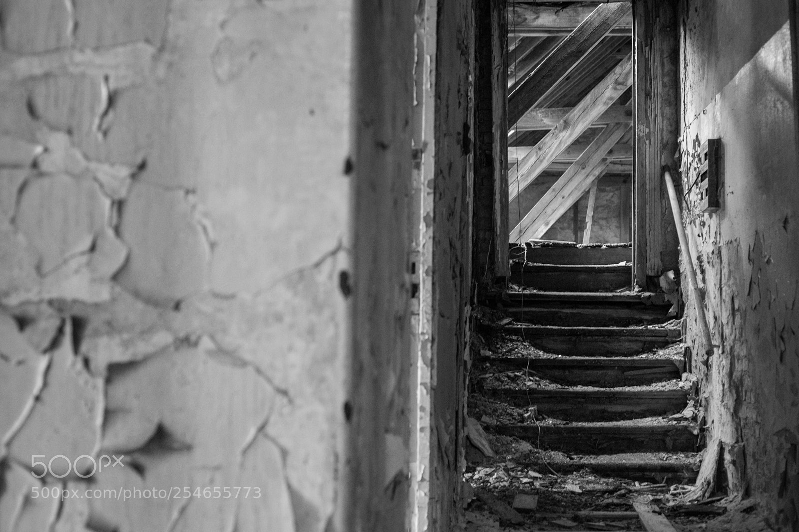 Canon EOS 6D Mark II sample photo. Untitled photography