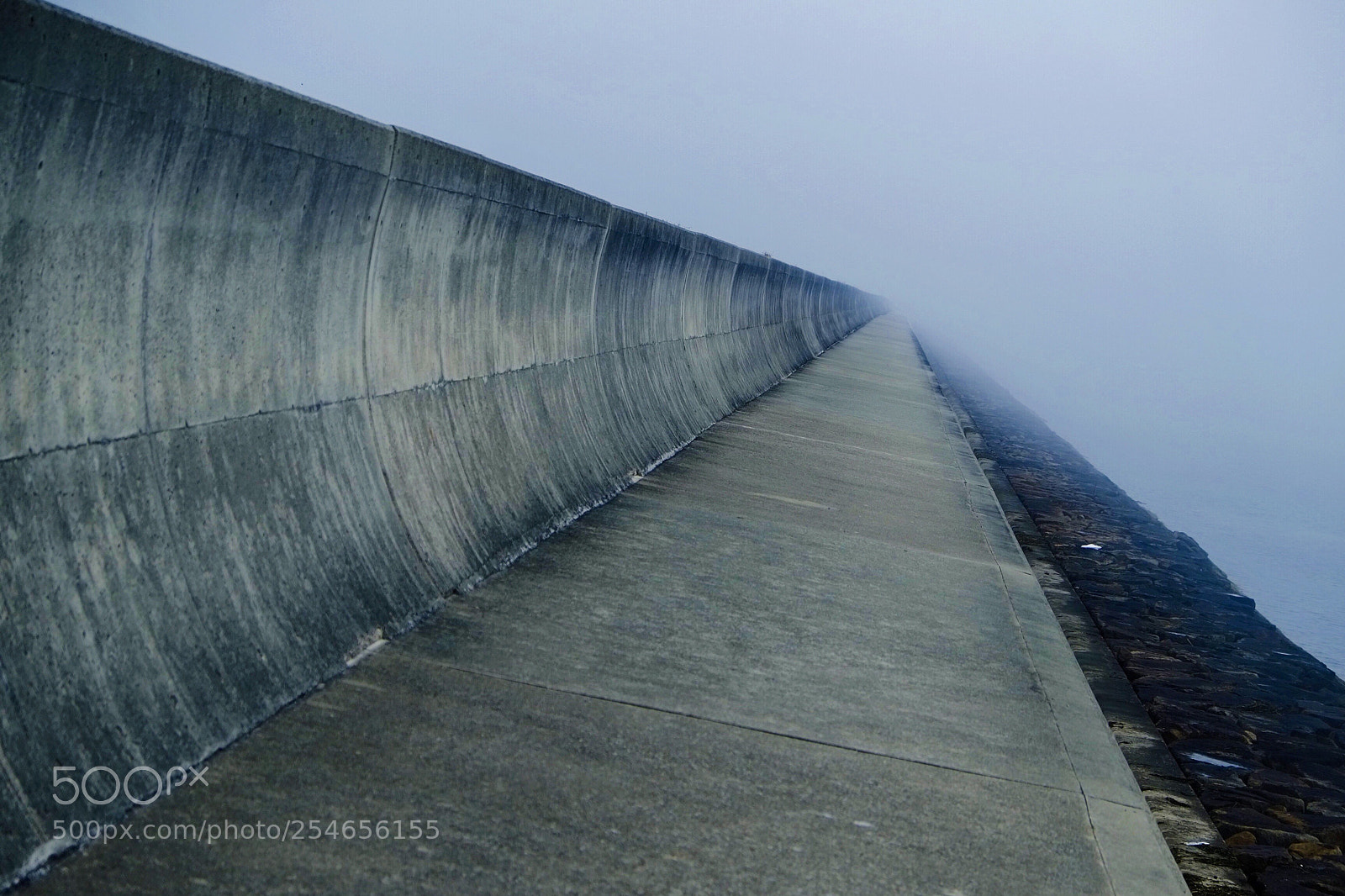Fujifilm X-Pro1 sample photo. Protection photography