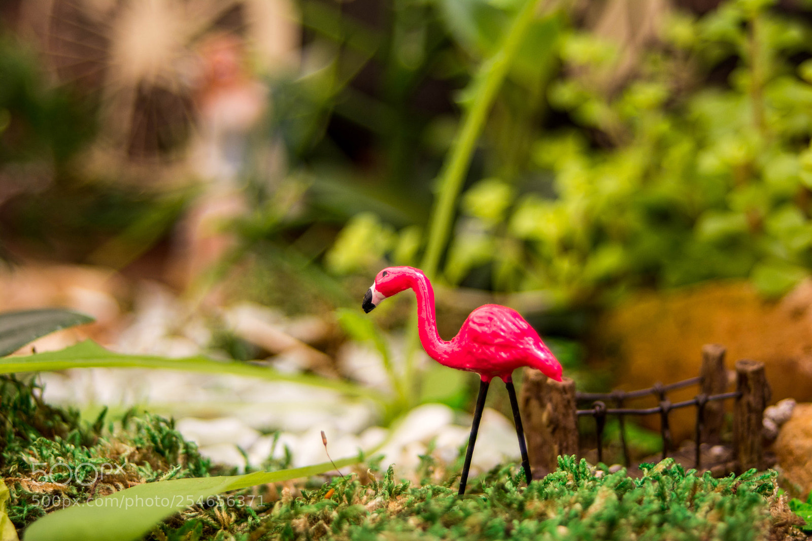 Nikon D7100 sample photo. Untitled photography