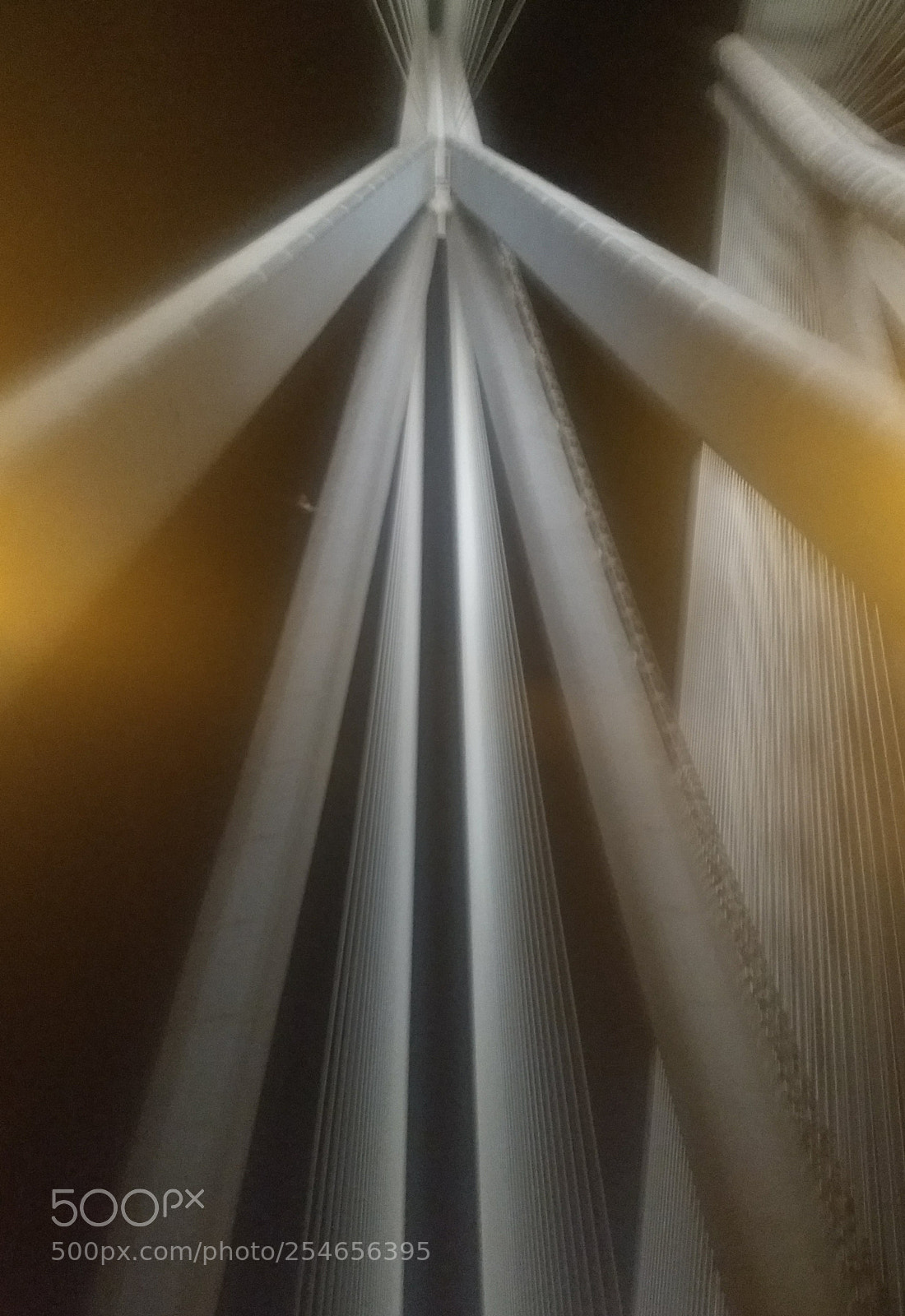 Motorola Moto G (5) Plus sample photo. Blurred is better photography
