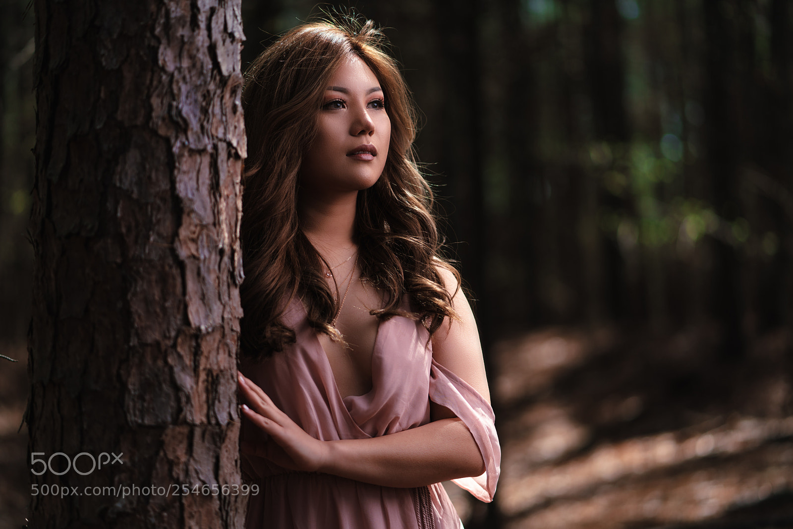 Sony a7R III sample photo. Going forward photography