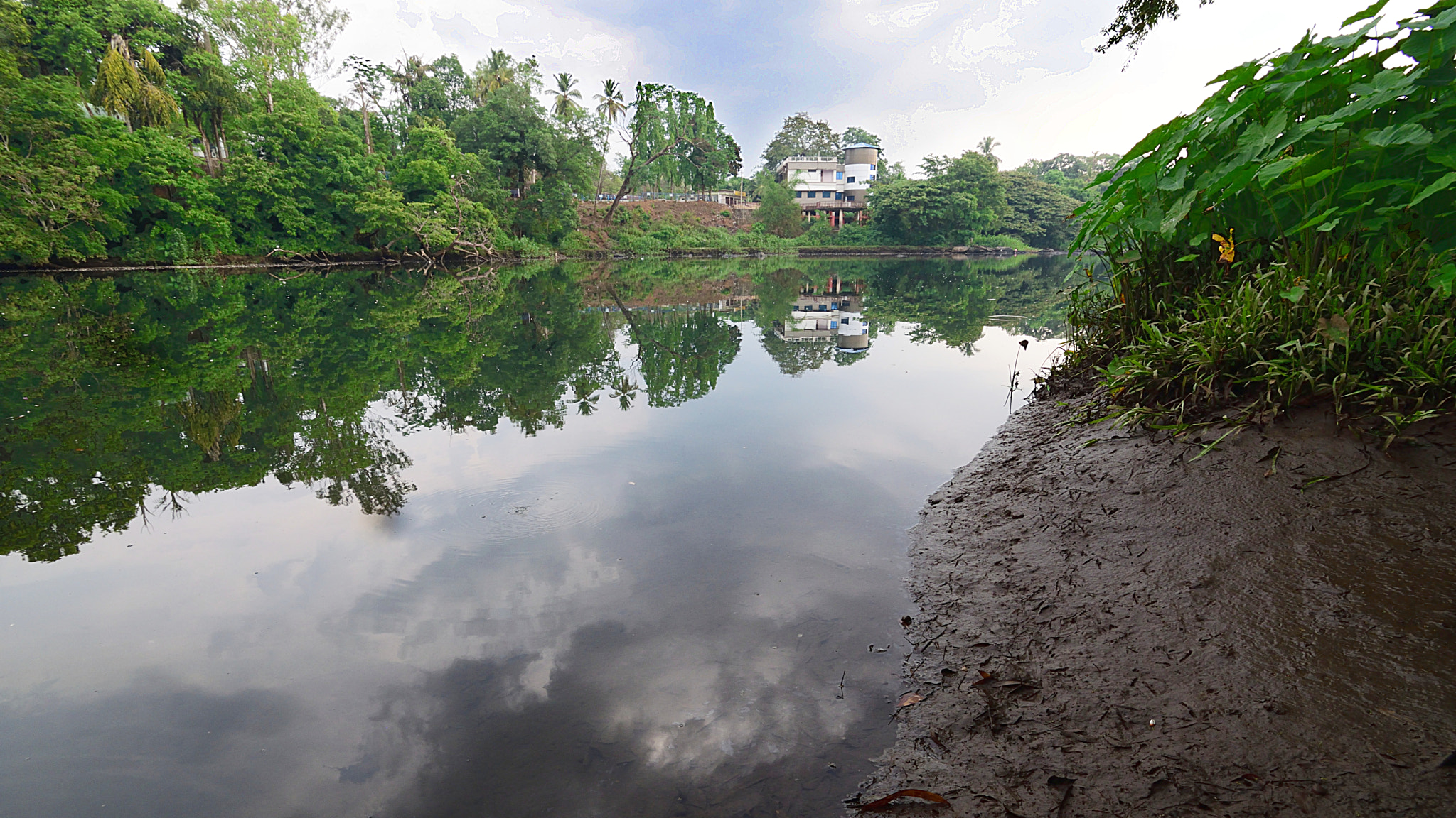 Nikon D3300 sample photo. Still river photography