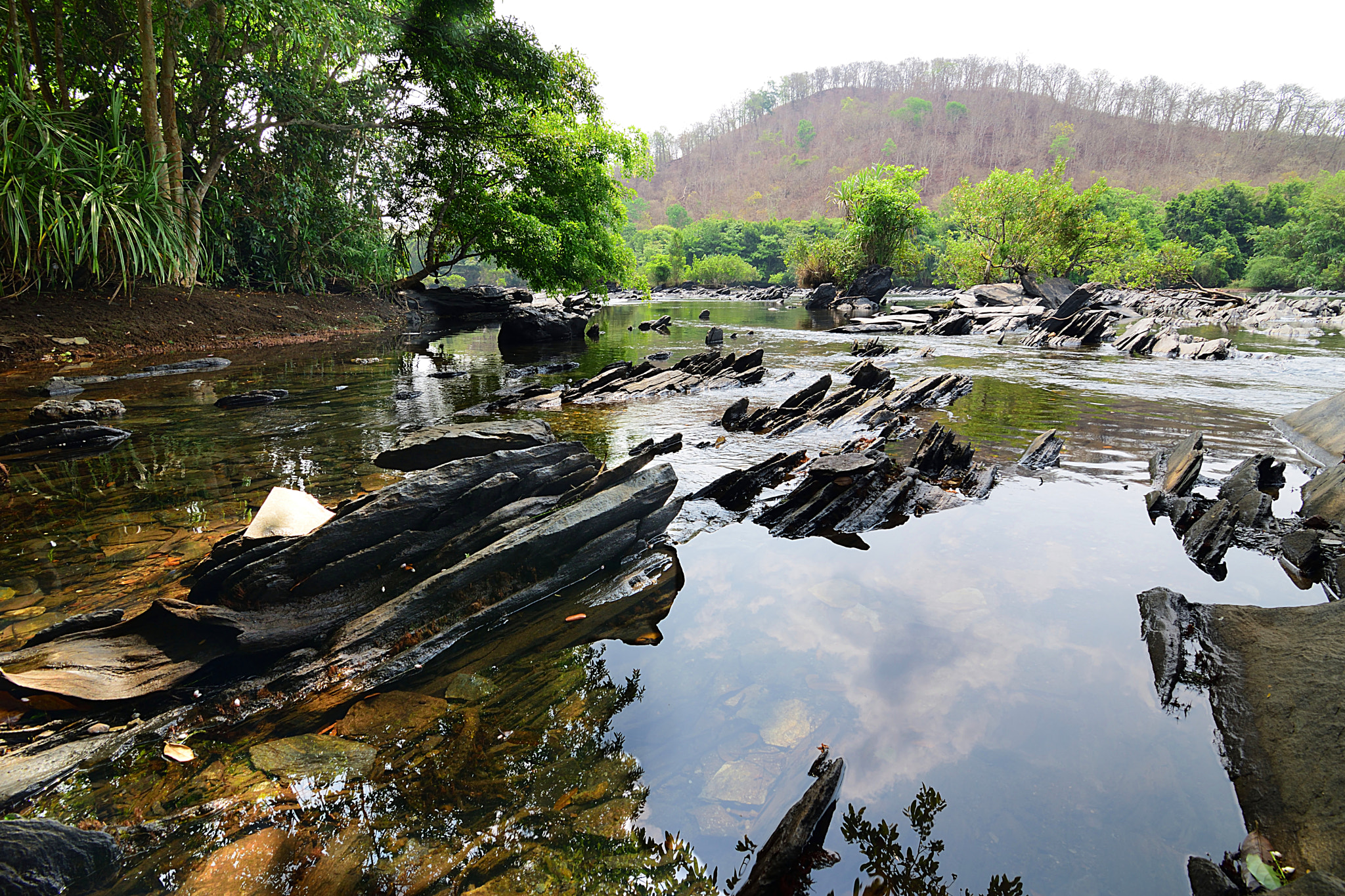 Nikon D3300 sample photo. Rock creek photography