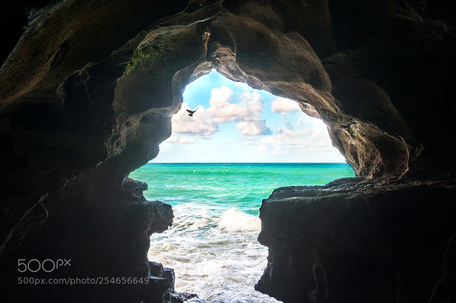 Nikon D800E sample photo. Hole photography