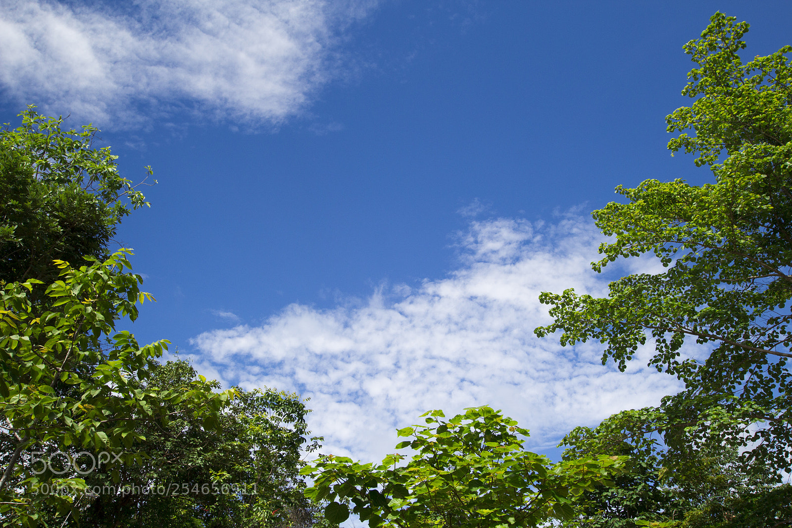 Canon EOS 700D (EOS Rebel T5i / EOS Kiss X7i) sample photo. The image of a photography
