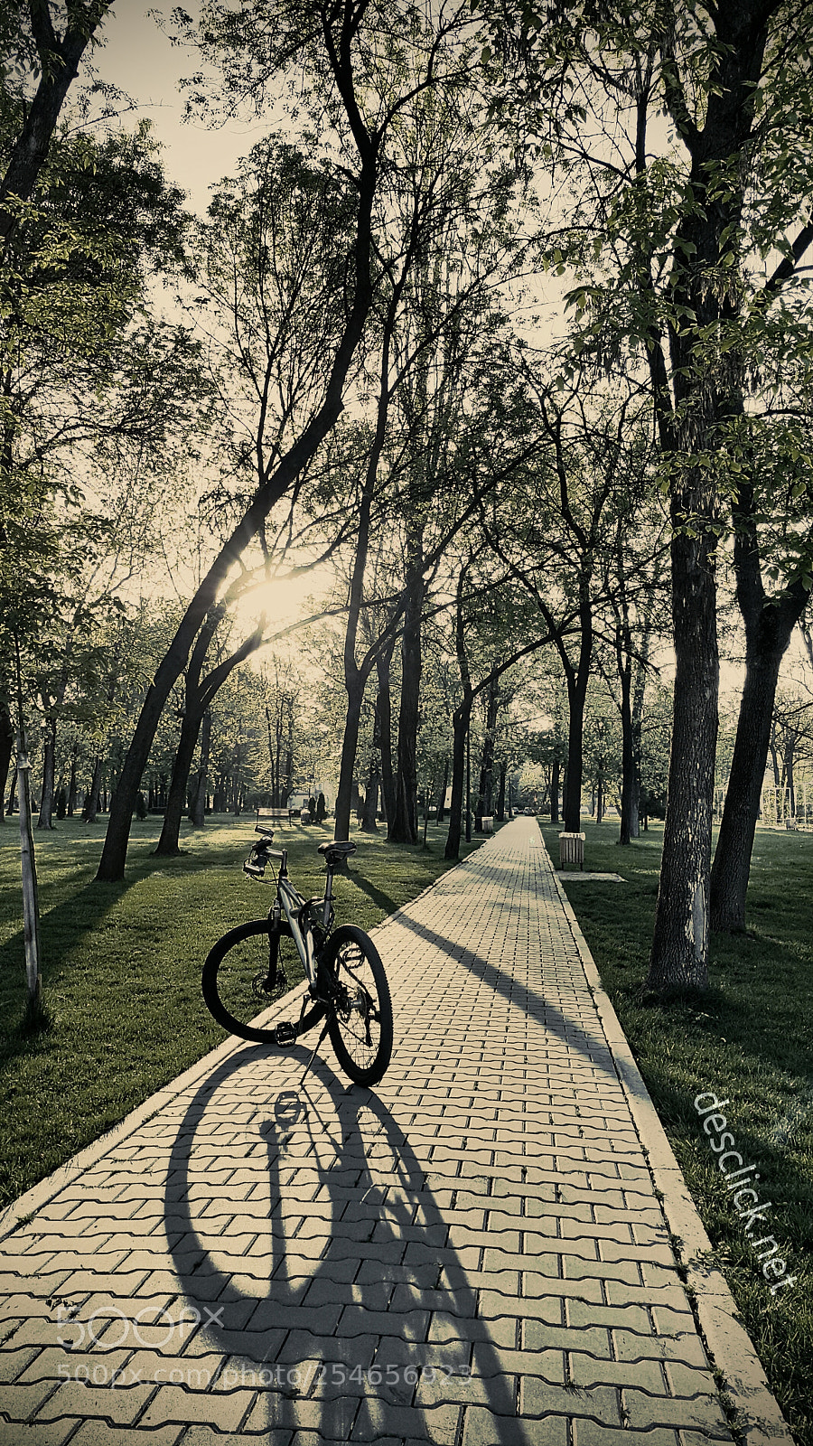Samsung Galaxy Note4 sample photo. Ridin' in the land photography