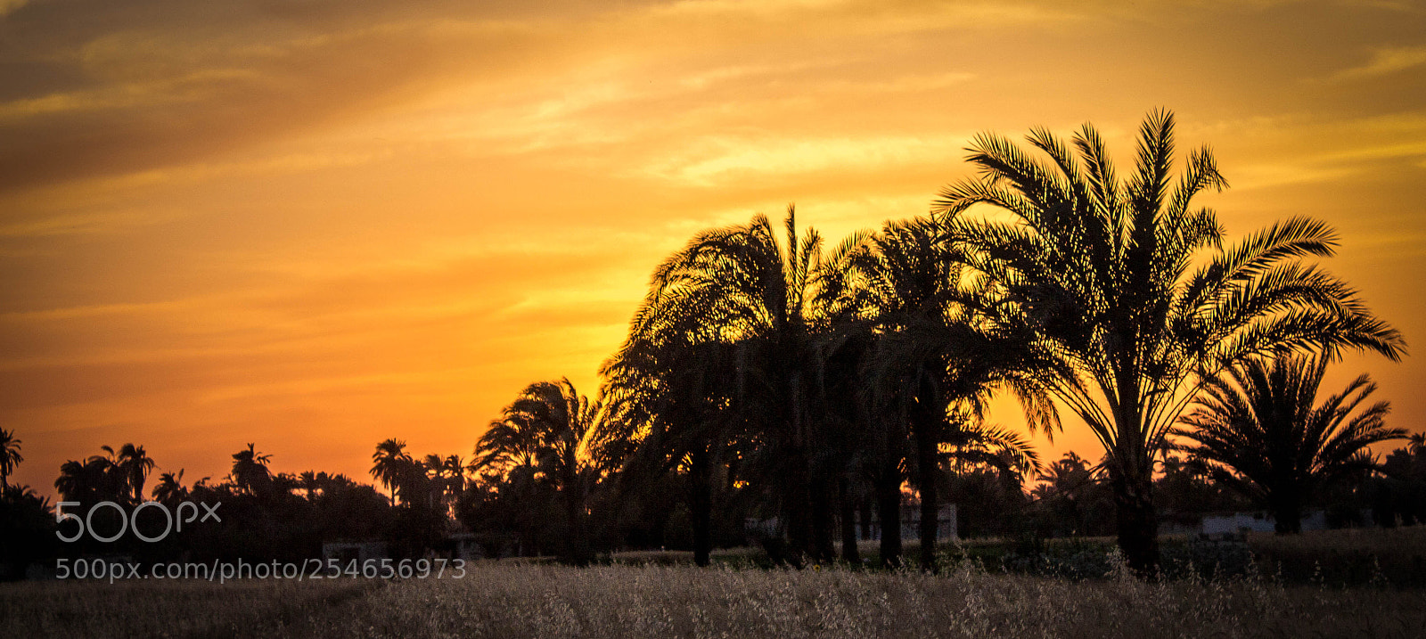 Canon EOS 700D (EOS Rebel T5i / EOS Kiss X7i) sample photo. Sunrise photography