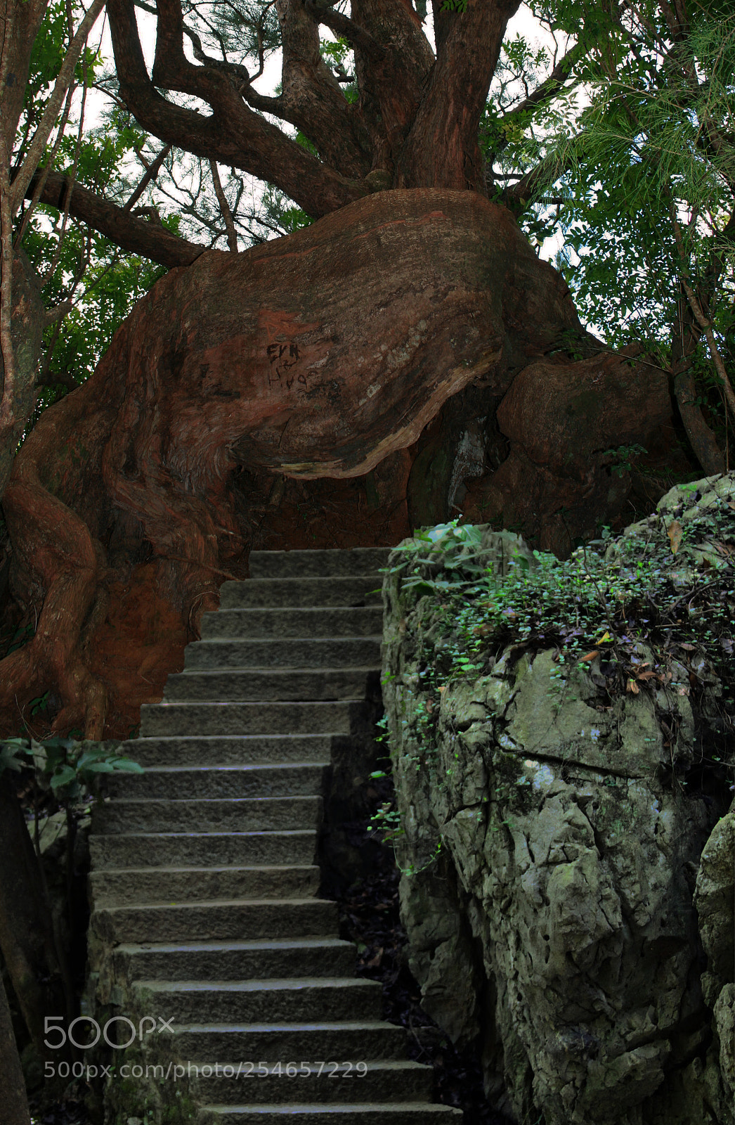 Canon EOS 400D (EOS Digital Rebel XTi / EOS Kiss Digital X) sample photo. Stairway too? photography