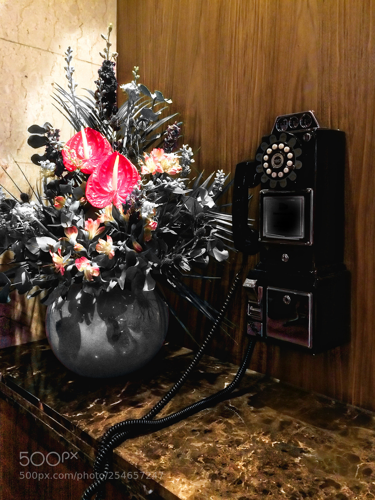 Apple iPhone 5s sample photo. From 50th... photography