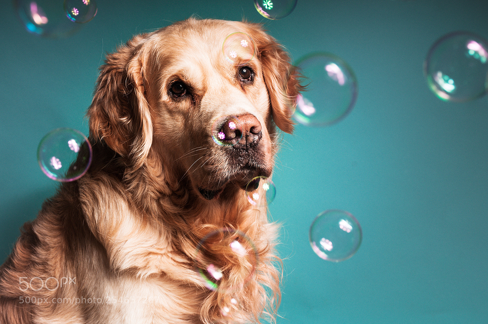 Nikon D300S sample photo. Bubbles photography