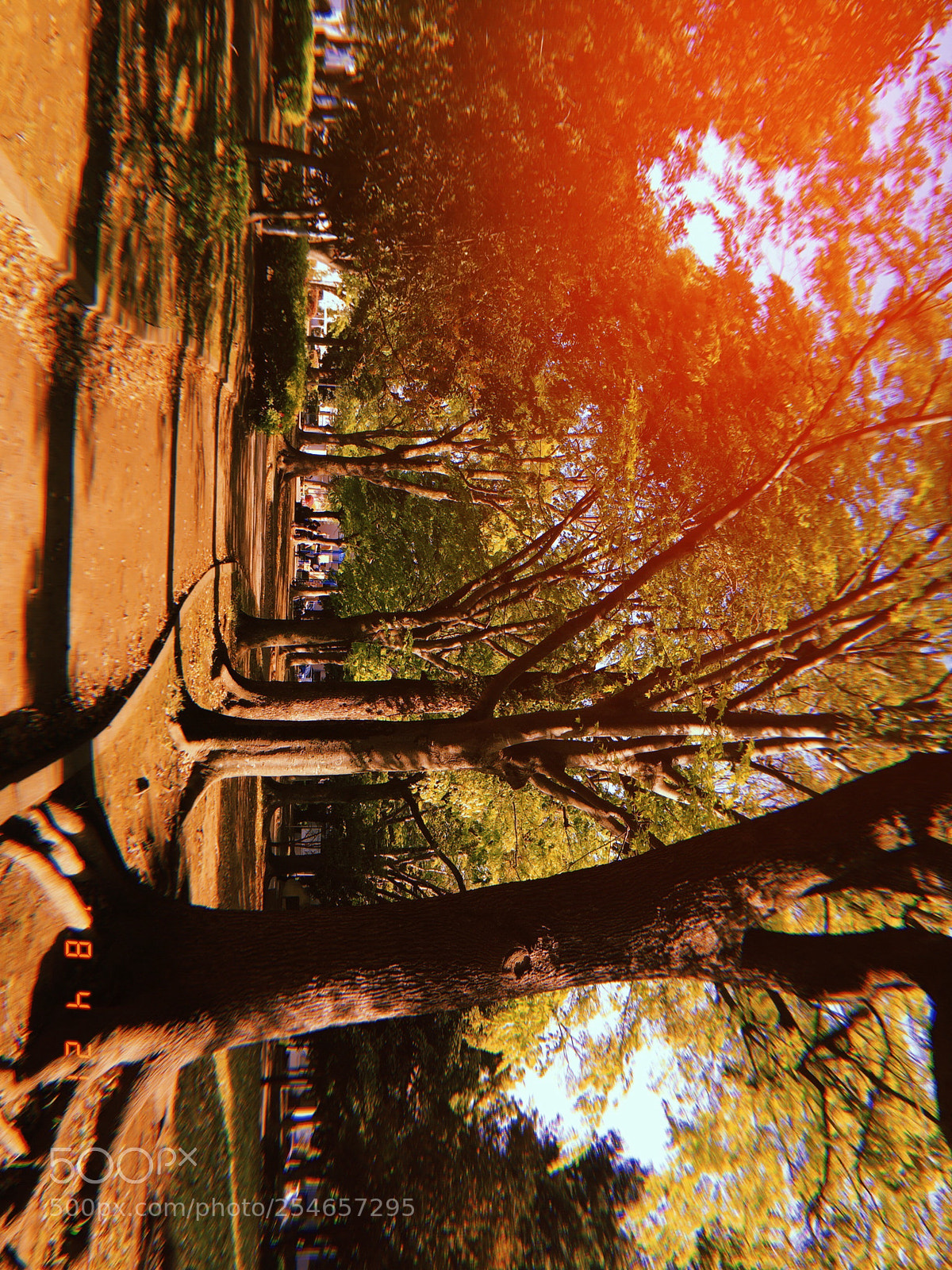 Apple iPhone sample photo. Spring#5 photography