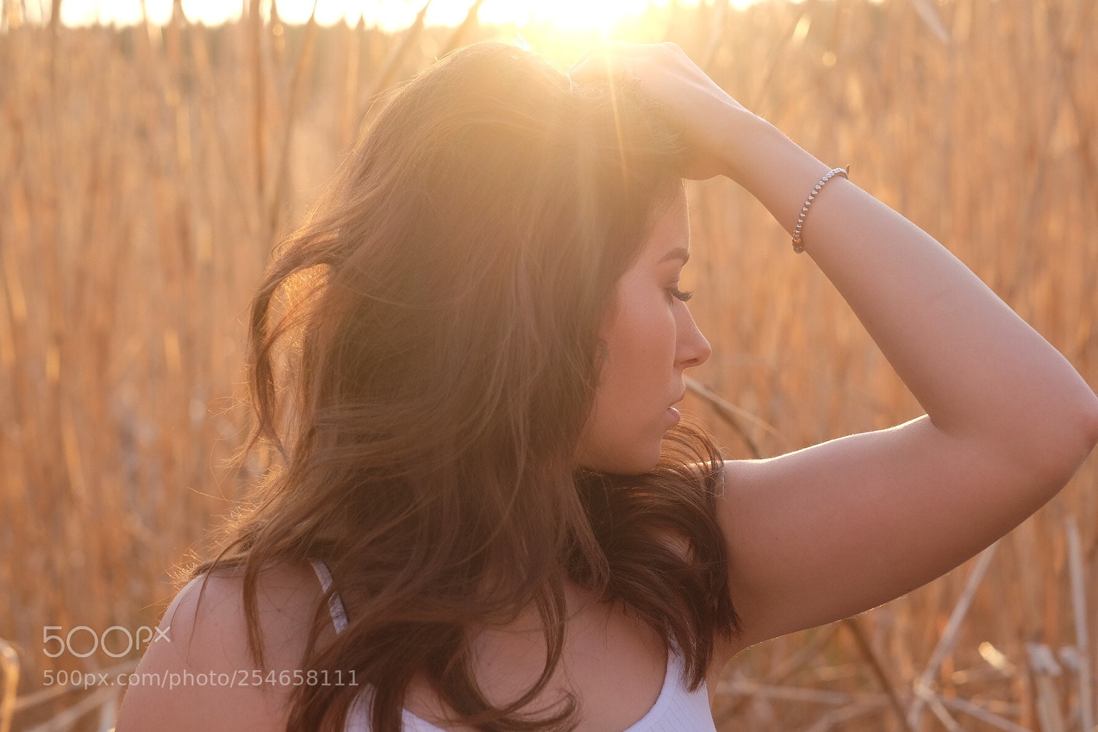Fujifilm X-T1 sample photo. Sundowner photography