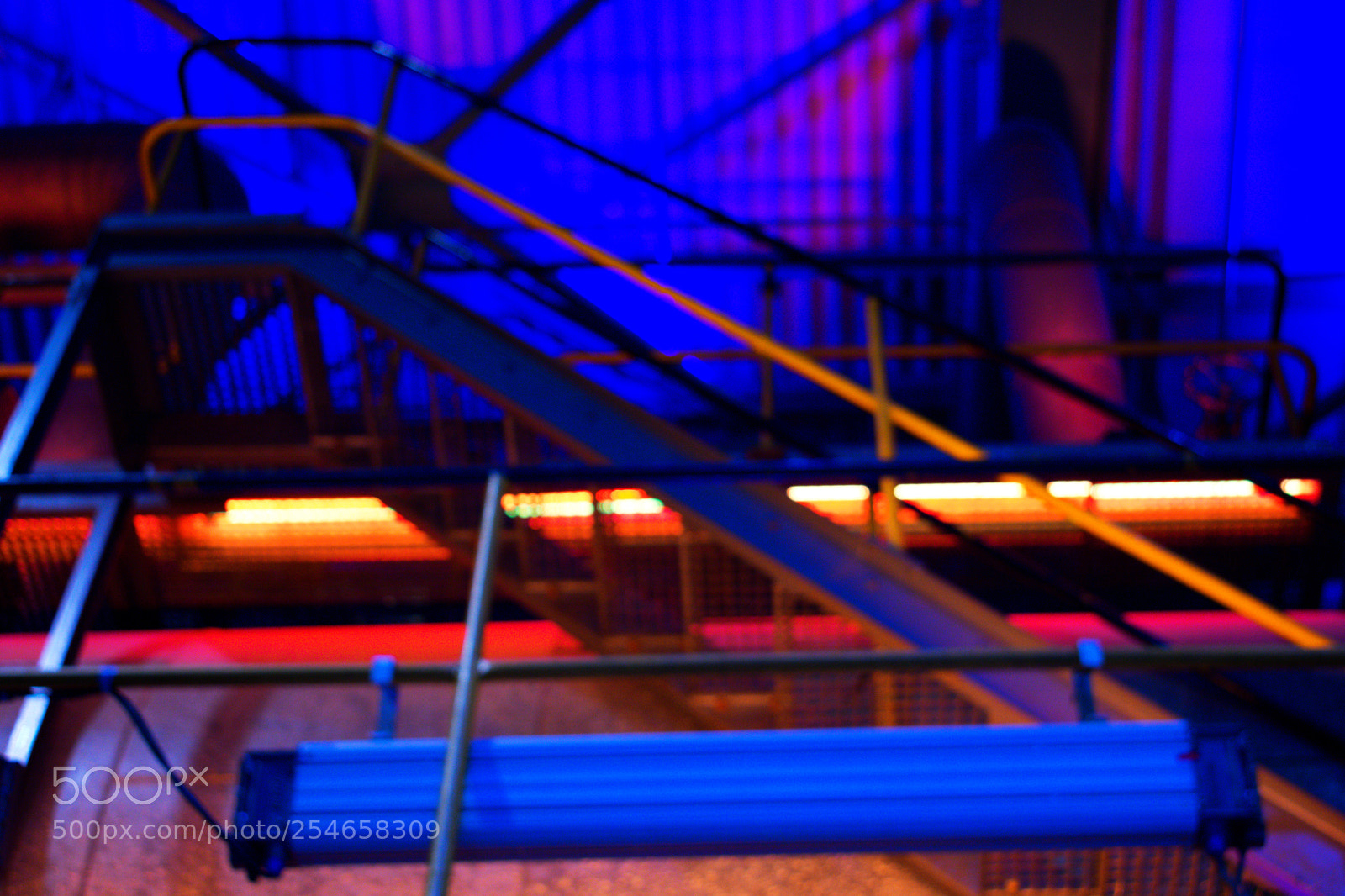 Nikon D3400 sample photo. The lights photography