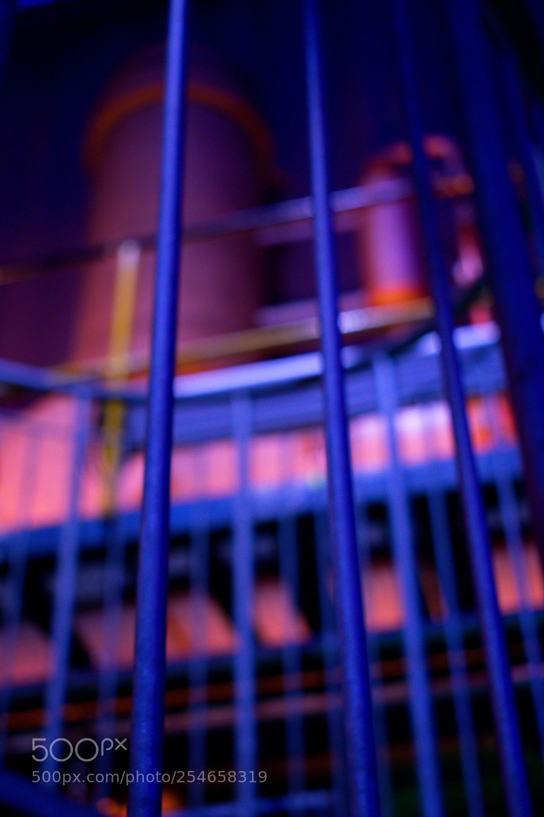 Nikon D3400 sample photo. Out of focus photography