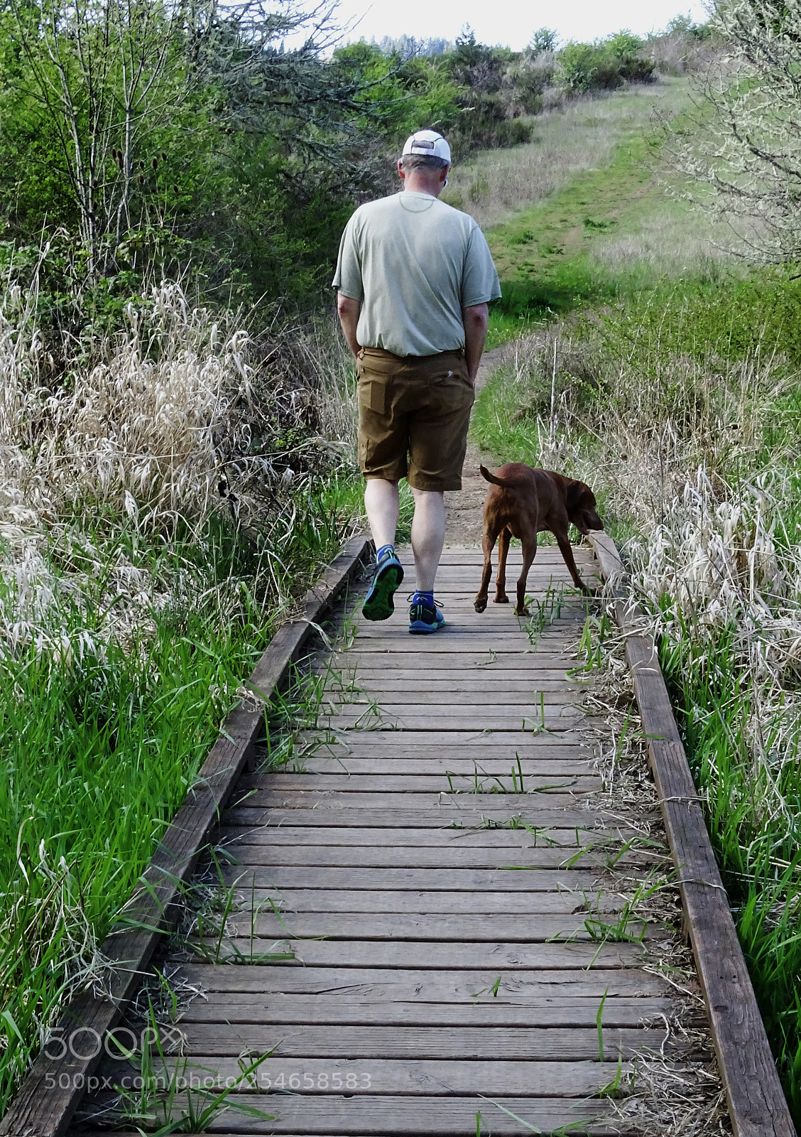 Sony Cyber-shot DSC-HX400V sample photo. Man & dog on bridge photography