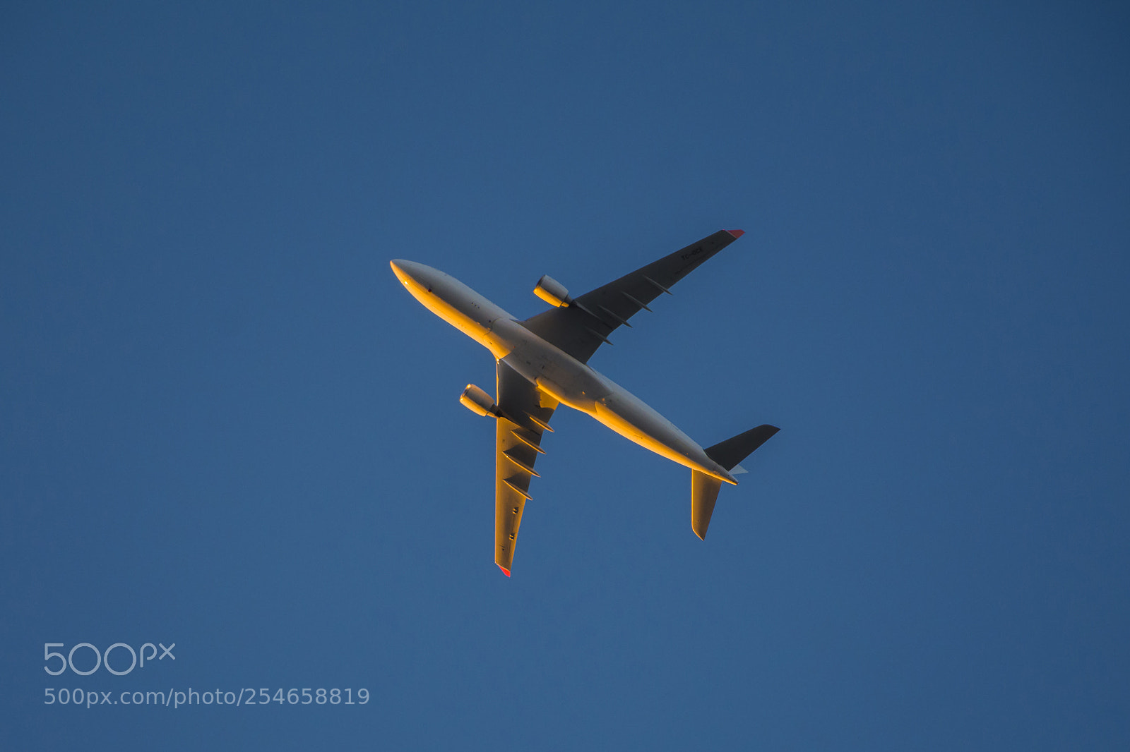 Nikon D7100 sample photo. Flight photography