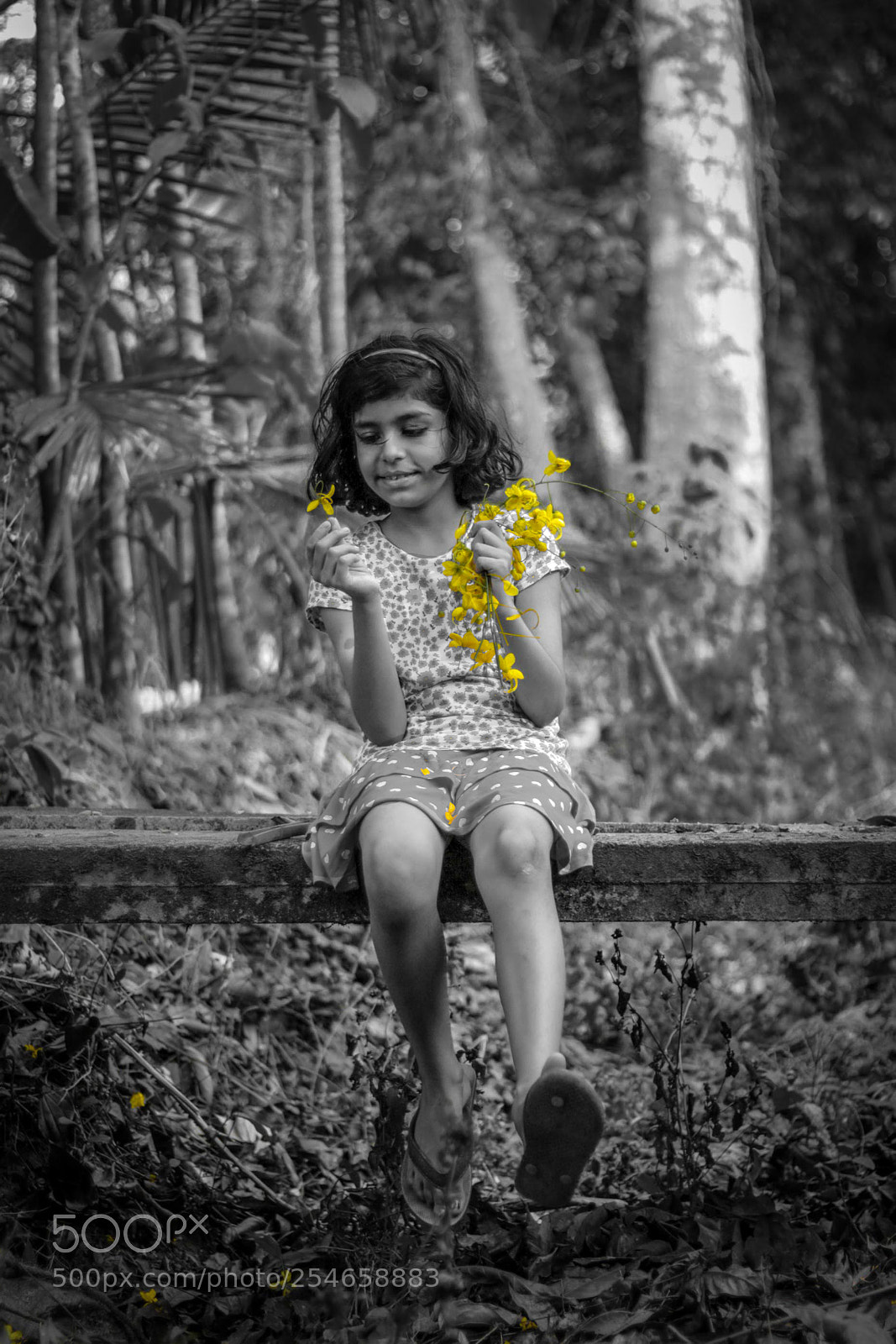 Canon EOS 750D (EOS Rebel T6i / EOS Kiss X8i) sample photo. Vishu - kerala photography