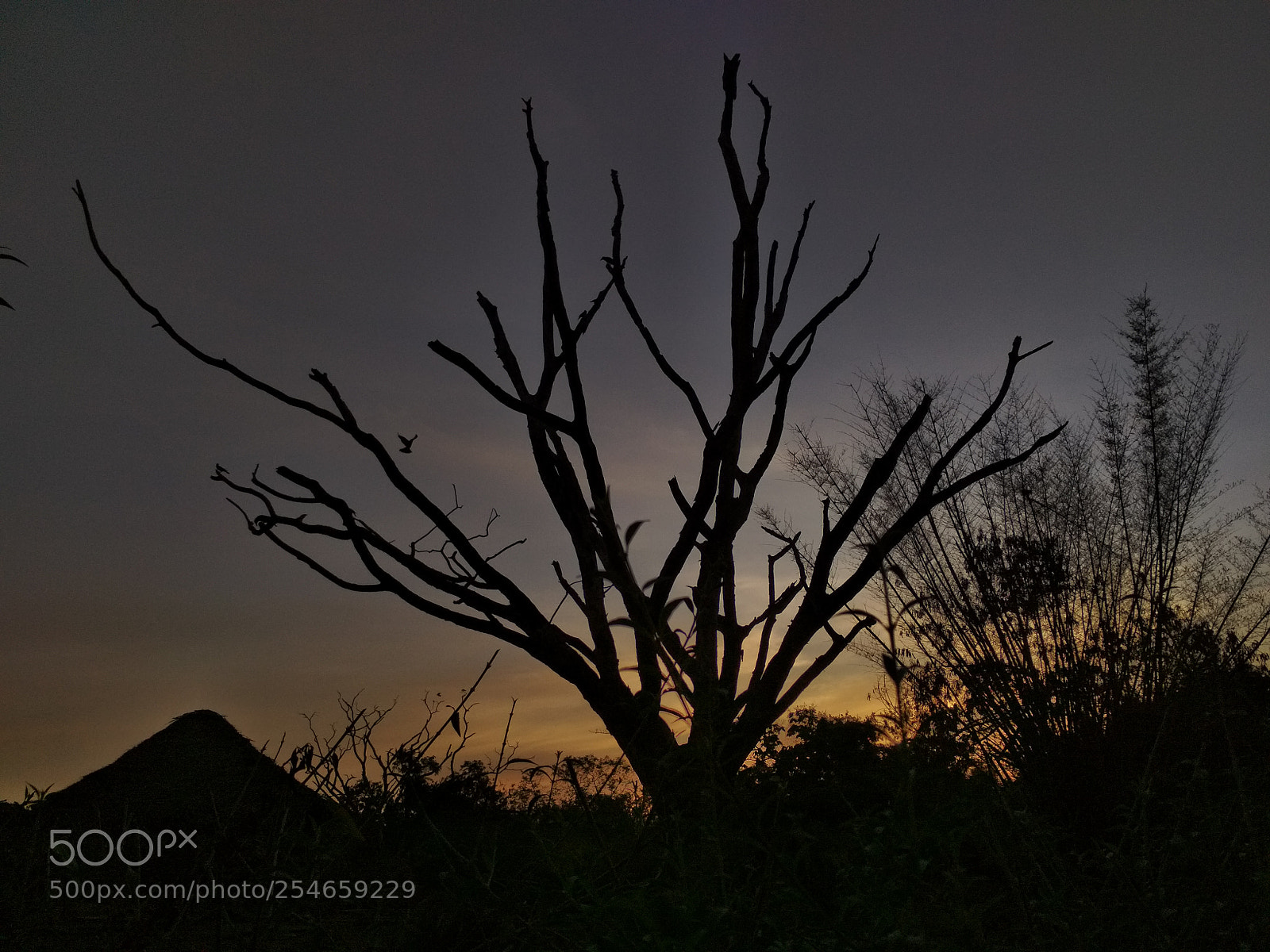 Xiaomi Redmi 4 Pro sample photo. Untitled photography